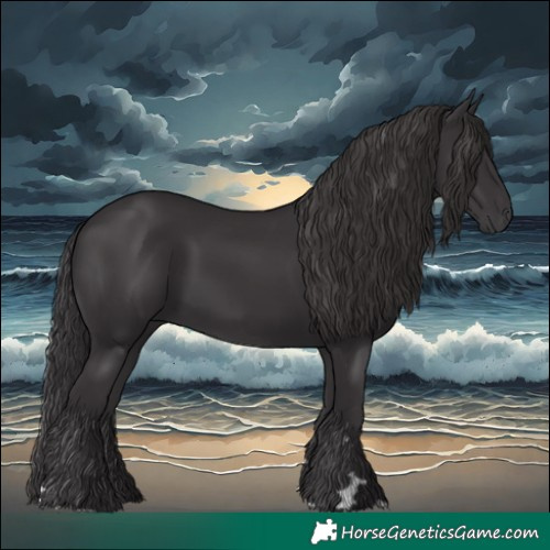 Horse Color:Smoky Black