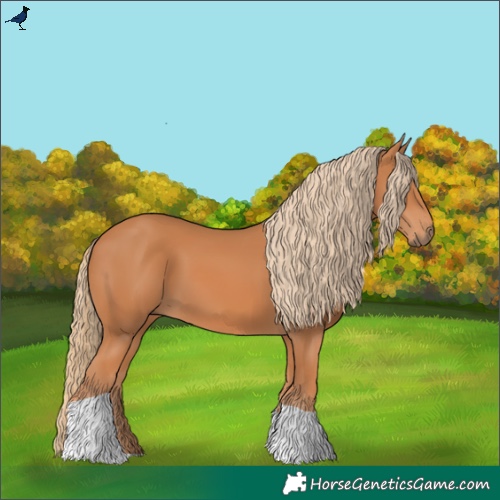 Horse Color:Chestnut Tobiano Rabicano 