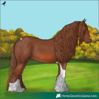Horse Color:Chestnut Tobiano Rabicano 