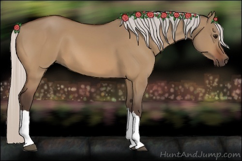 Horse Color:Silver Bay Dun
