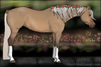 Horse Color:Silver Bay Dun 