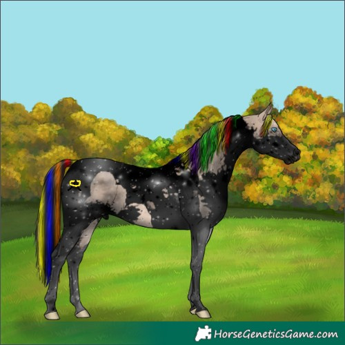 Horse Color:Void Painted Brown Dun Splash Tobiano 