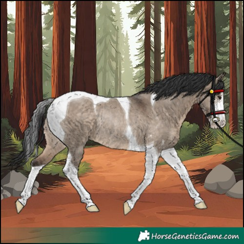 Horse Color:Brown Dun Sabino Tobiano Rabicano 
