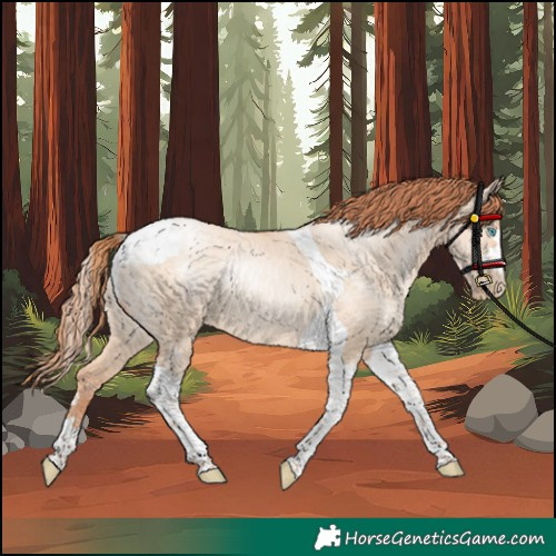 Horse Color:Sable Champagne Pearl Dun Tobiano Rabicano 
