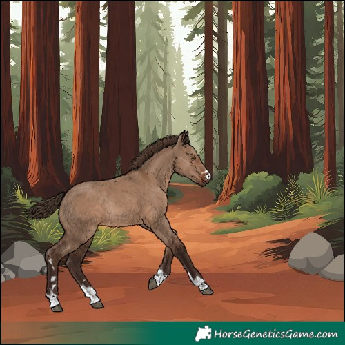 Horse Color:Liver Red Dun Rabicano 