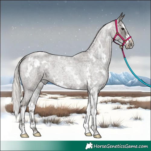 Horse Color:White Spotted Silver Blue Ice Roan Splash