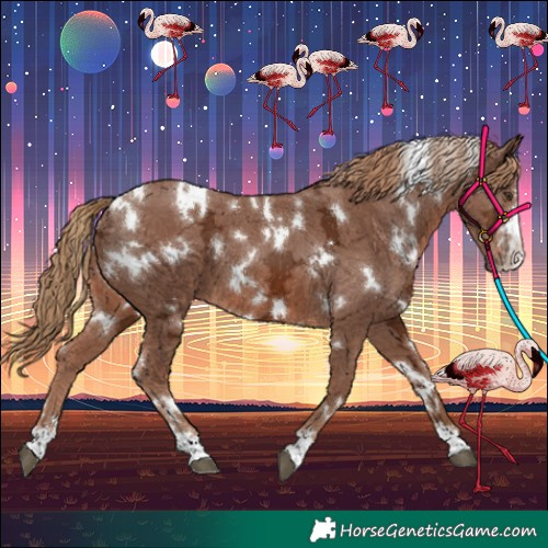 Horse Color:White Spotted Chestnut Ice 
