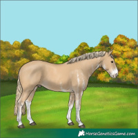 Horse Color:White Spotted Chestnut Mushroom