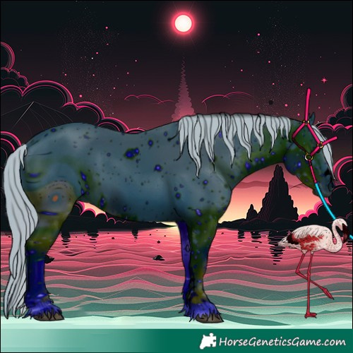 Horse Color:ERROR: UNKNOWN ANOMALY