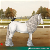Horse Color:Perlino Dun Tobiano
