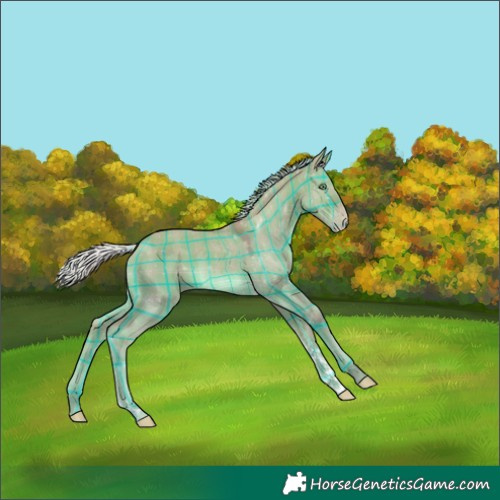 Horse Color:Watercolor Plaid  Silver Amber Champagne Dun Tobiano 