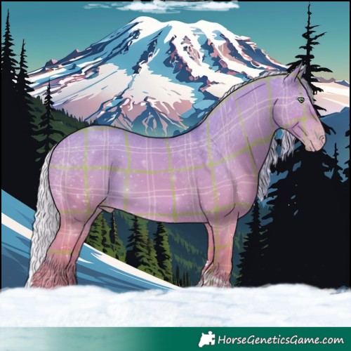 Horse Color:Watercolor Plaid  Silver Amber Champagne Dun Tobiano 