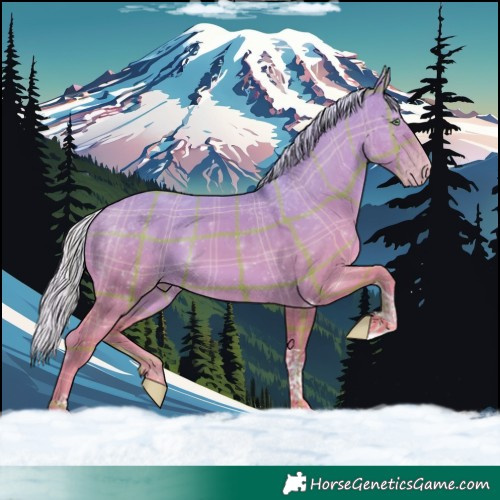 Horse Color:Watercolor Plaid Silver Amber Champagne Dun Tobiano