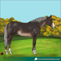 Horse Color:Silver Brown