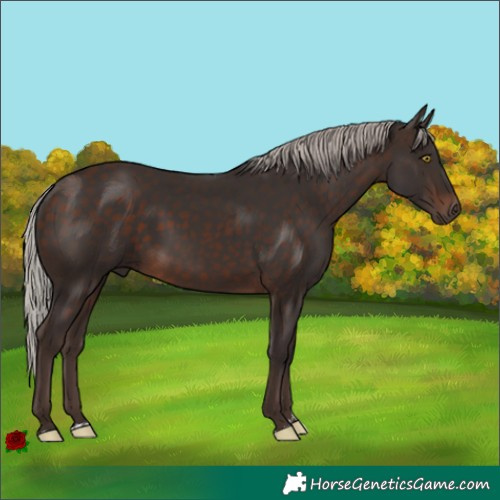 Horse Color:Silver Brown 