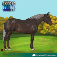 Horse Color:Silver Brown 
