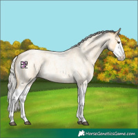 Horse Color:Silver Buckskin Roan Splash