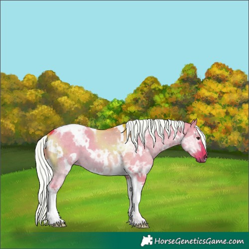 Horse Color:Watercolor White Spotted Liver Red Dun Ice Mushroom Tobiano