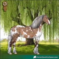 Horse Color:White Spotted Silver Brown Dun 