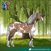 Horse Color:White Spotted Silver Brown Dun