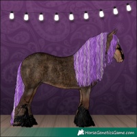 Horse Color:Void Painted Silver Brown Roan Dun Sabino Skewed LP Spotted