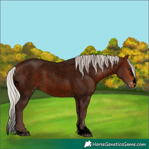 Horse Color:Void Silver Brown Roan Skewed LP Spotted 