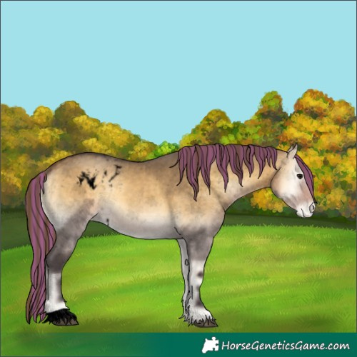 Horse Color:Void Painted Buckskin Onyx Skewed LP Spotted 
