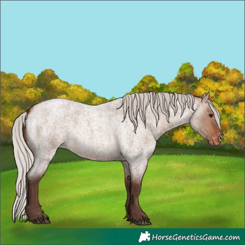 Horse Color:Silver Bay Roan Dun Skewed LP Spotted 