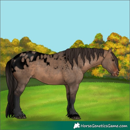 Horse Color:Void Brown Dun Skewed LP Spotted