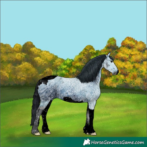 Horse Color:ERROR: UNKNOWN ANOMALY