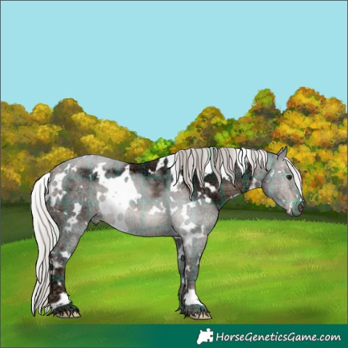 Horse Color:Plaid White Spotted Silver Brown Ice