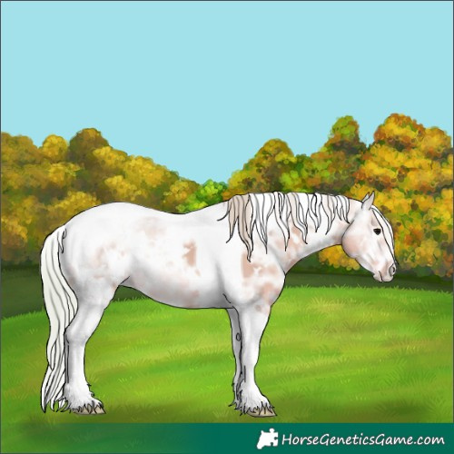 Horse Color:Watercolor White Spotted Silver Grullo Ice Tobiano 