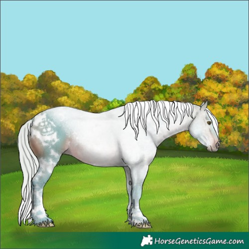 Horse Color:Watercolor White Spotted Silver Brown 