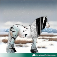 Horse Color:Watercolor White Spotted Silver Brown