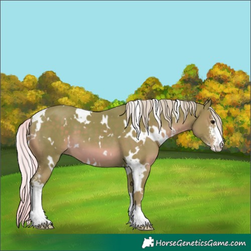 Horse Color:Watercolor White Spotted Silver Black Sabino