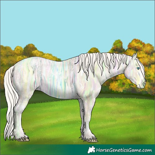 Horse Color:White Spotted Silver Buckskin Ice Pearl Dun Varnish 
