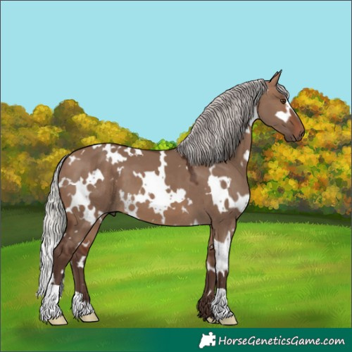 Horse Color:White Spotted Silver Brown Dun 