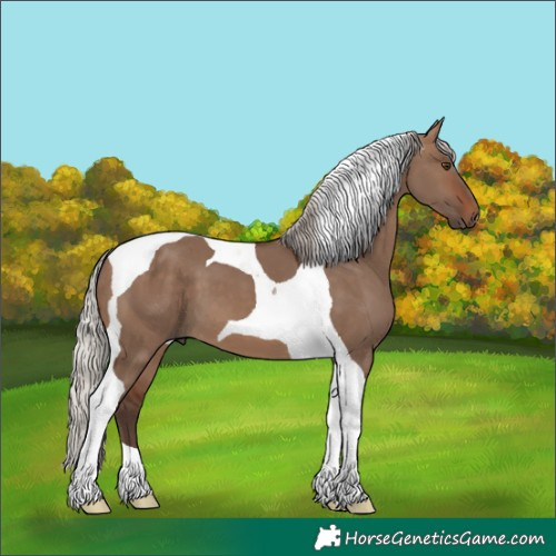 Horse Color:Silver Brown Dun Tobiano