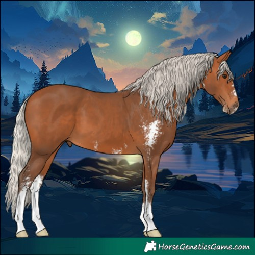 Horse Color:Silver Bay Sabino 