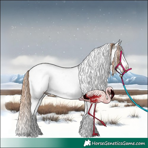 Horse Color:Brown Ice Snowdrop Pearl Onyx Sabino Splash 