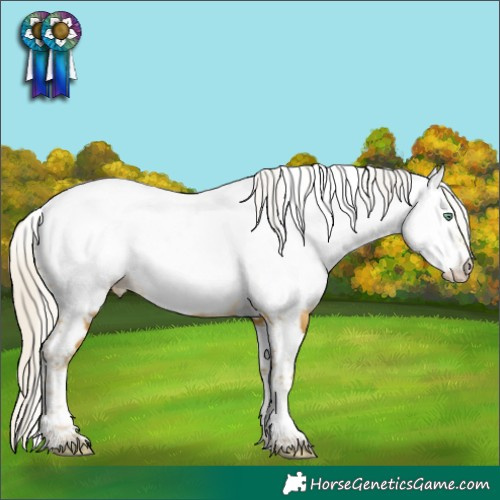 Horse Color:Silver Sable Cream Champagne Splash Tobiano Appaloosa