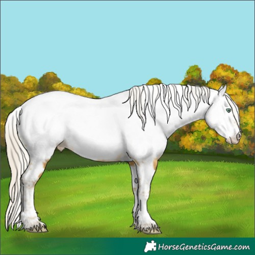 Horse Color:Silver Sable Cream Champagne Splash Tobiano Appaloosa