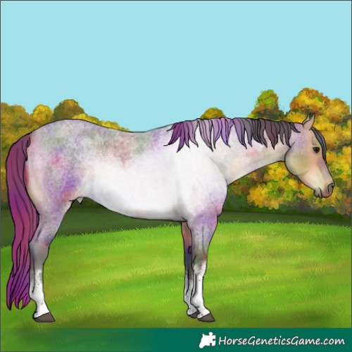 Horse Color:Nacre White Spotted Buckskin Roan Rabicano 
