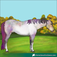 Horse Color:Nacre White Spotted Buckskin Roan Rabicano
