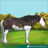 Horse Color:Brown Splash 