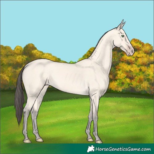 Horse Color:Amber Cream Champagne