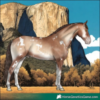 Horse Color:White Spotted Sable Champagne Onyx 