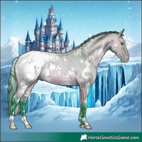 Horse Color:Watercolor White Spotted Bay Roan Dun Appaloosa 
