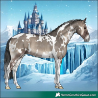 Horse Color:White Spotted Grullo Onyx Tobiano Rabicano
