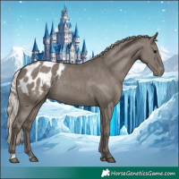 Horse Color:Silver Grullo Blanket 